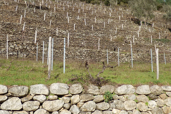 sanilhac Ardèche les faîsses